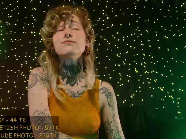LittleSpaceMouse- webcam