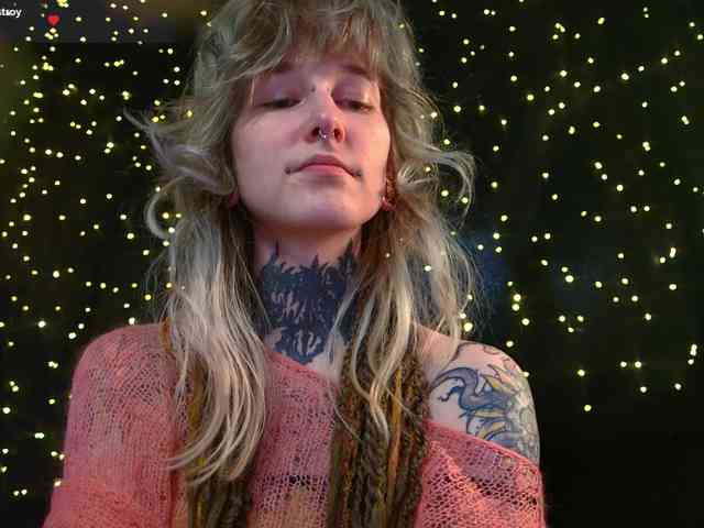 LittleSpaceMouse- webcam