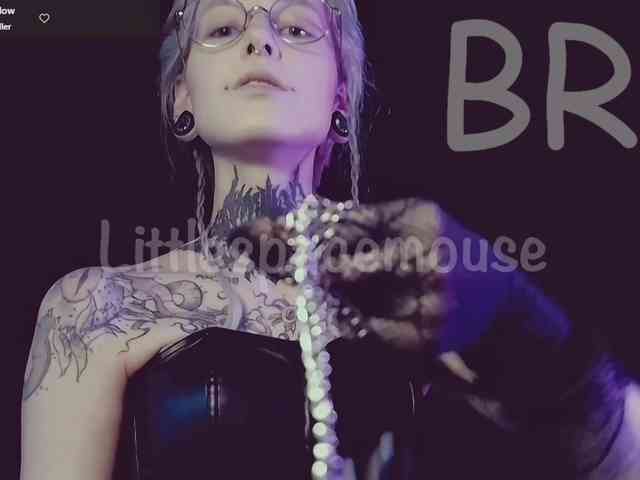 LittleSpaceMouse- webcam