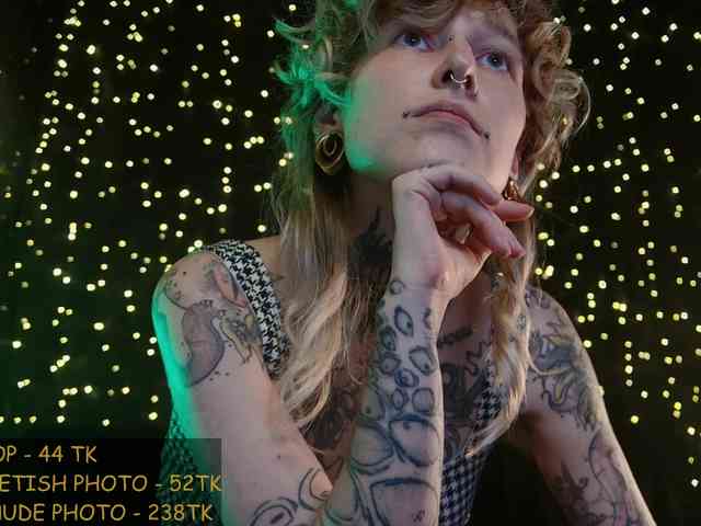 LittleSpaceMouse- webcam