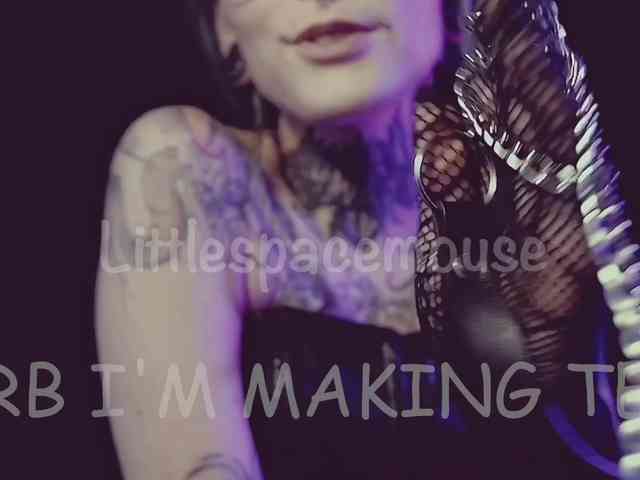 LittleSpaceMouse- webcam