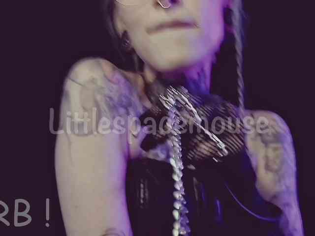 LittleSpaceMouse- webcam
