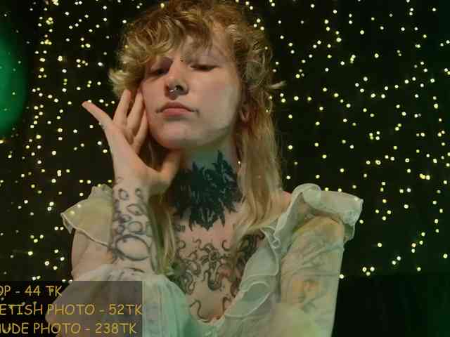 LittleSpaceMouse- webcam