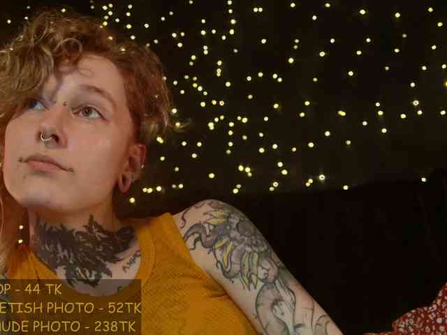 LittleSpaceMouse- webcam