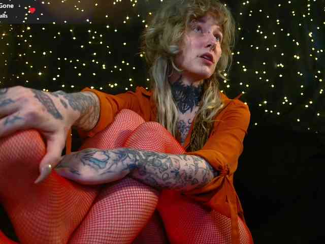 LittleSpaceMouse- webcam