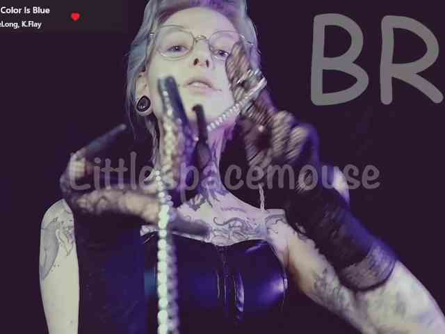 LittleSpaceMouse- webcam