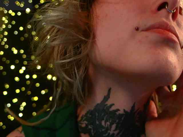 LittleSpaceMouse- webcam
