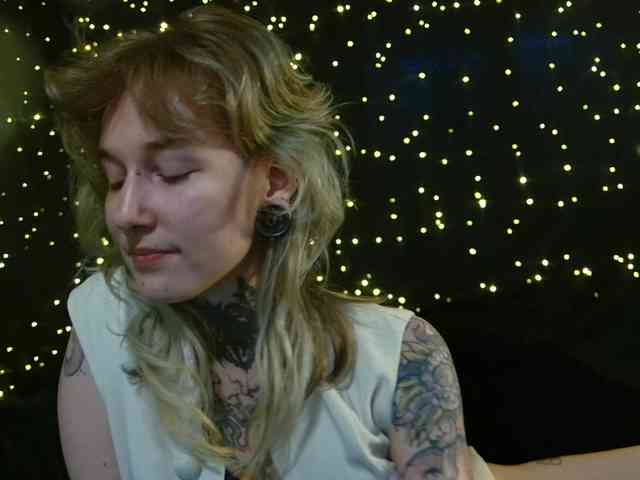 LittleSpaceMouse- webcam