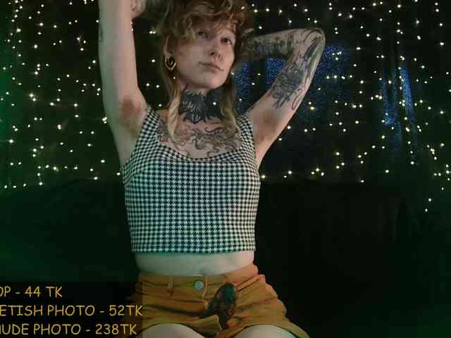 LittleSpaceMouse- webcam