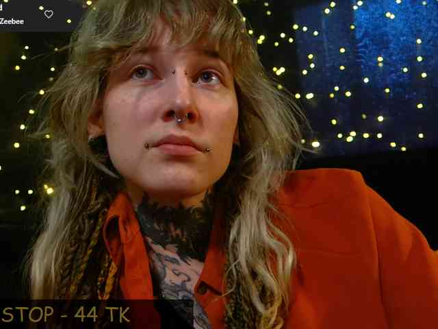 LittleSpaceMouse- webcam