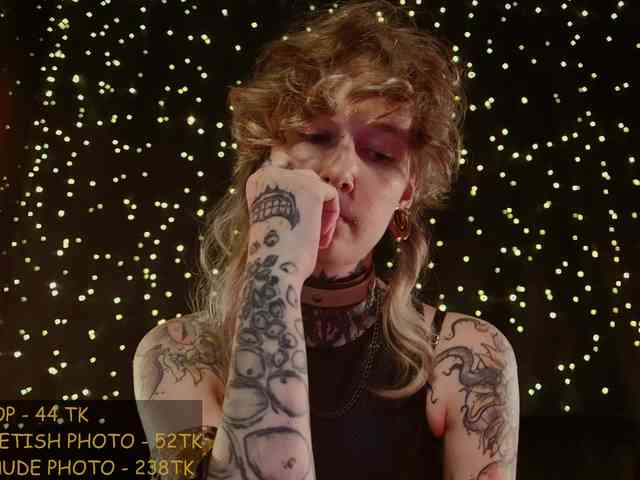 LittleSpaceMouse- webcam