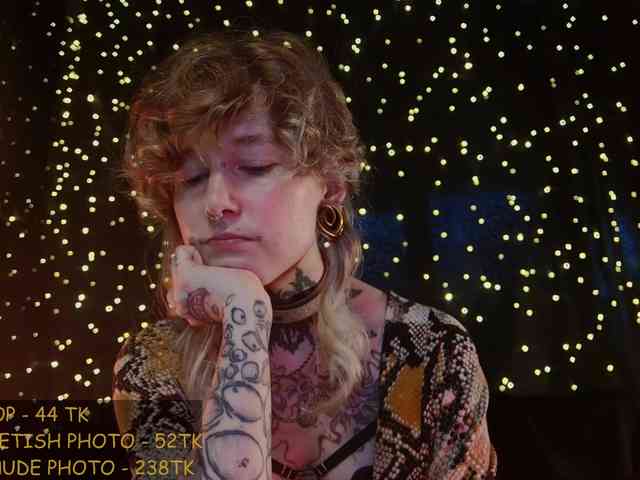 LittleSpaceMouse- webcam