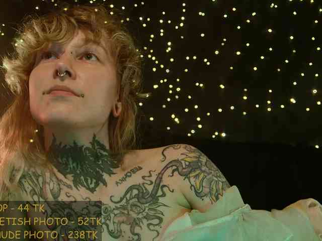 LittleSpaceMouse- webcam