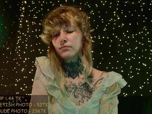 LittleSpaceMouse- webcam