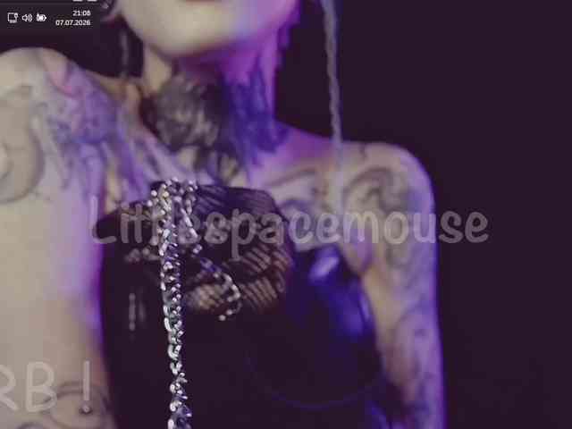 LittleSpaceMouse- webcam
