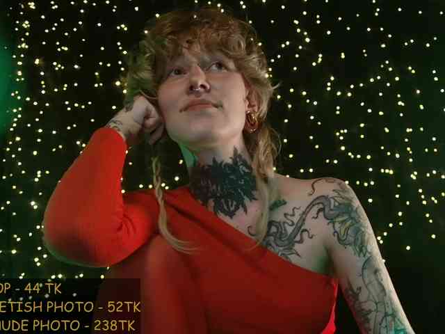 LittleSpaceMouse- webcam