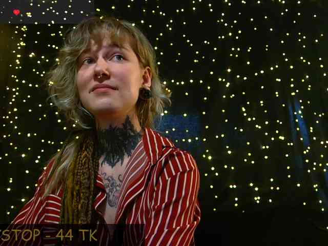 LittleSpaceMouse- webcam