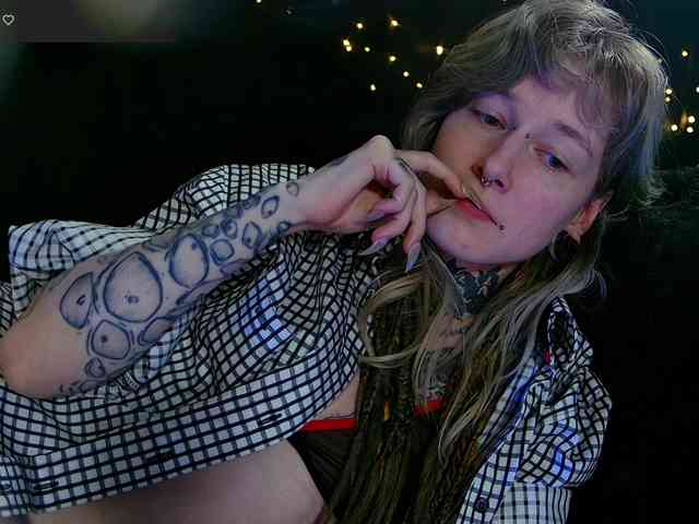 LittleSpaceMouse- webcam