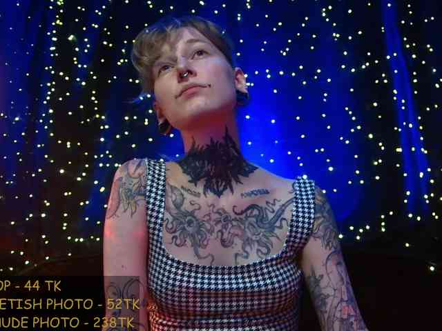 LittleSpaceMouse- webcam