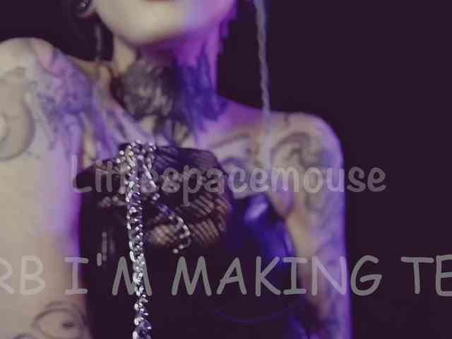 LittleSpaceMouse- webcam