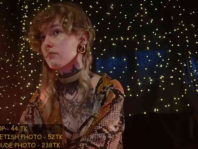 LittleSpaceMouse- webcam
