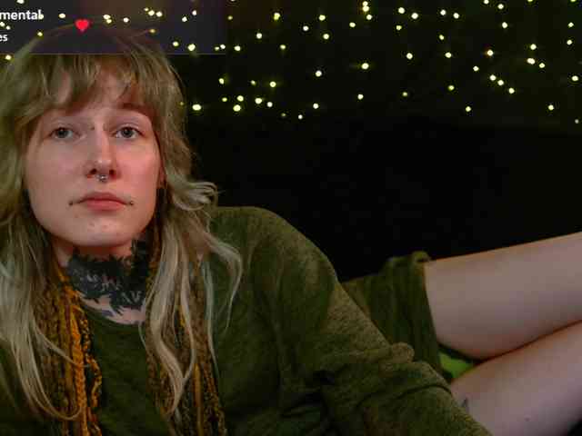 LittleSpaceMouse- webcam