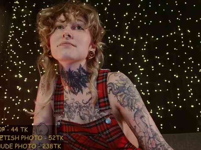 LittleSpaceMouse- webcam