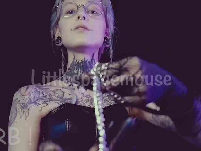 LittleSpaceMouse- webcam