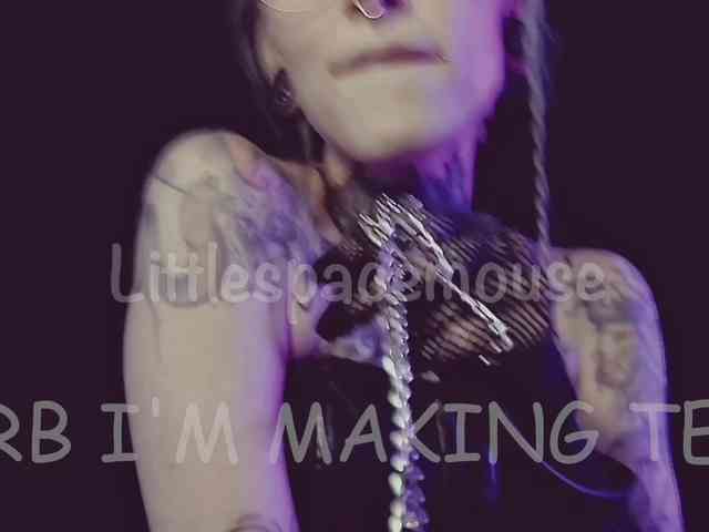 LittleSpaceMouse- webcam