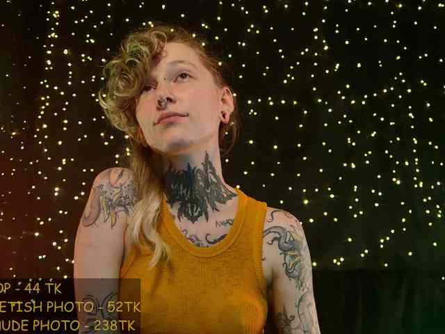 LittleSpaceMouse- webcam