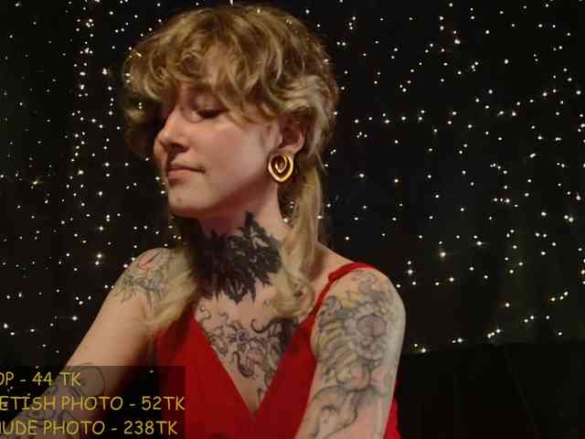 LittleSpaceMouse- webcam