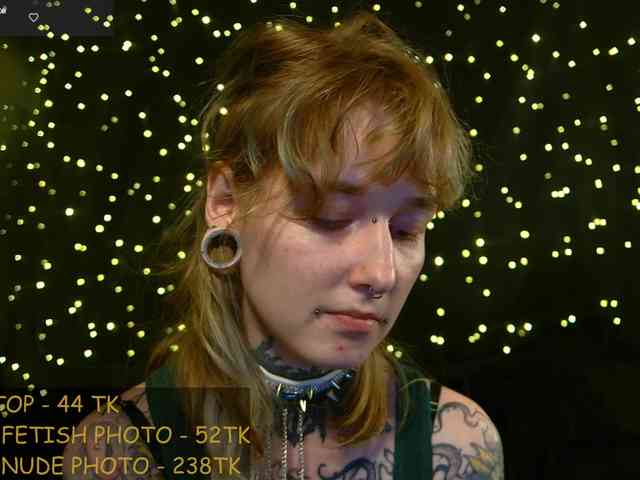 LittleSpaceMouse- webcam