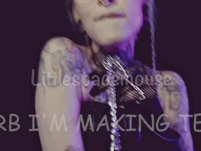 LittleSpaceMouse- webcam