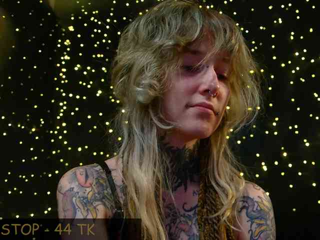 LittleSpaceMouse- webcam