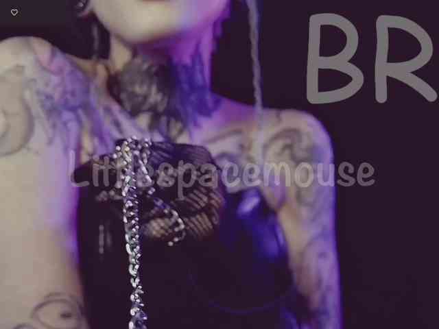 LittleSpaceMouse- webcam
