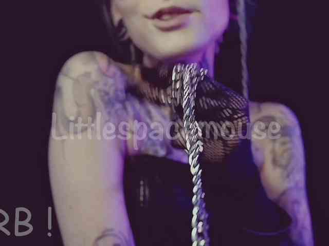 LittleSpaceMouse- webcam