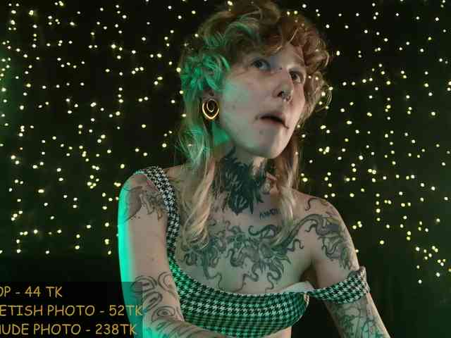 LittleSpaceMouse- webcam