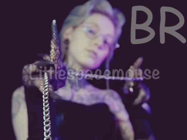 LittleSpaceMouse- webcam