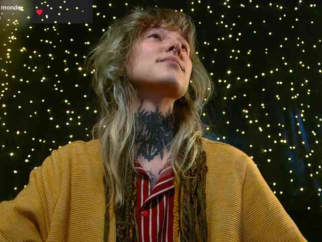 LittleSpaceMouse- webcam