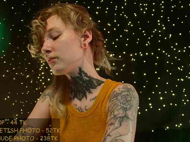 LittleSpaceMouse- webcam