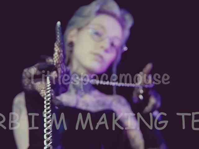 LittleSpaceMouse- webcam