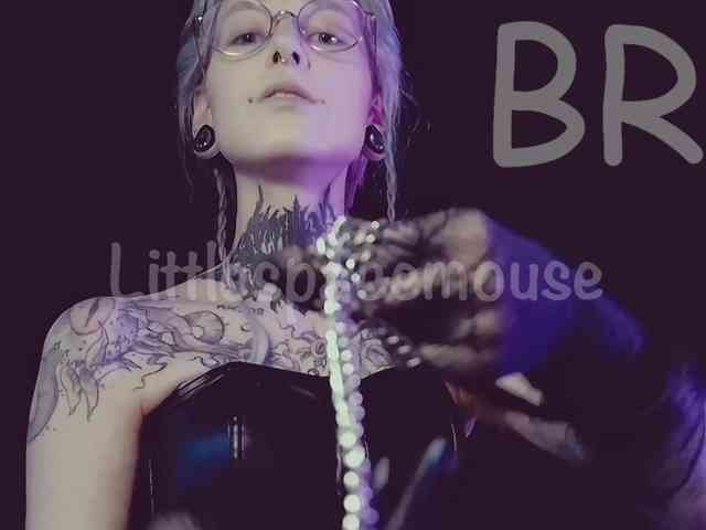 LittleSpaceMouse- webcam