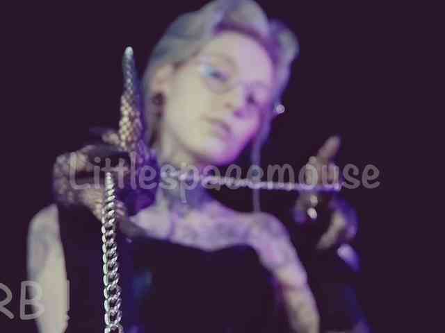 LittleSpaceMouse- webcam