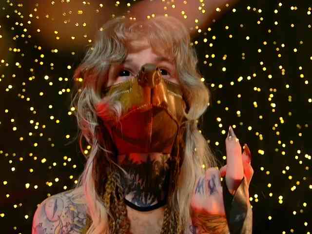 LittleSpaceMouse- webcam