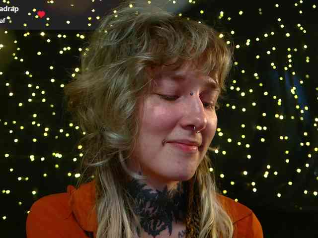 LittleSpaceMouse- webcam