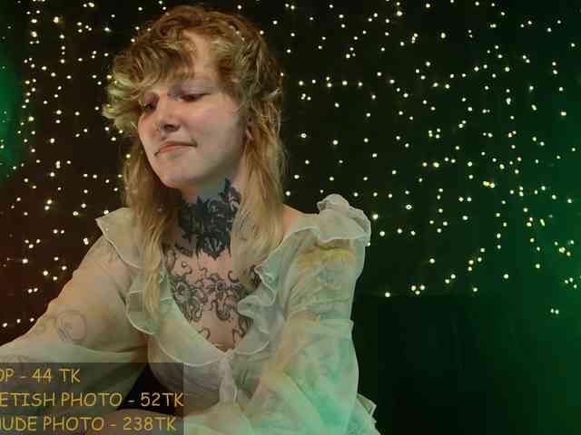 LittleSpaceMouse- webcam