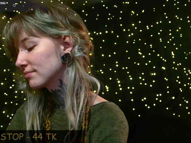 LittleSpaceMouse- webcam