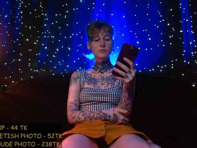LittleSpaceMouse- webcam