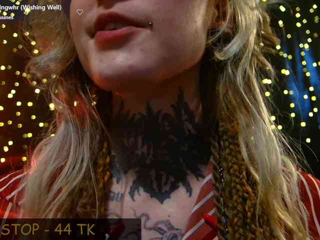 LittleSpaceMouse- webcam