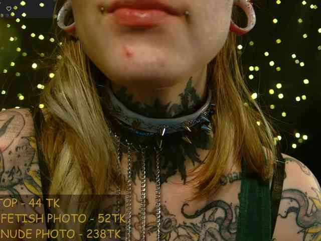 LittleSpaceMouse- webcam